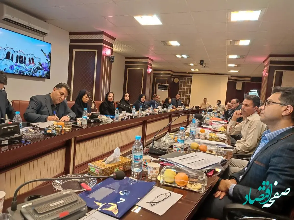 نشست مشترك مدیران ارشد بیمه دانا و شركتهای تابعه وزارت نیرو در كرمان