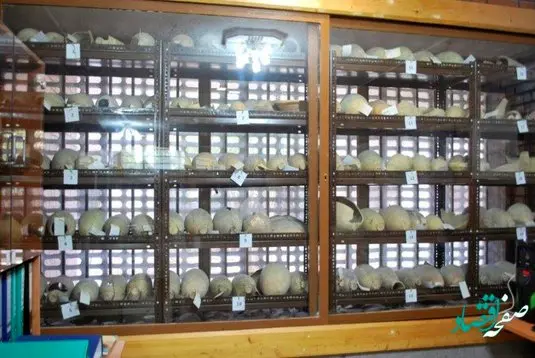 سایتموزههای چغازنبیل و هفتتپه پایش مستمر میشوند