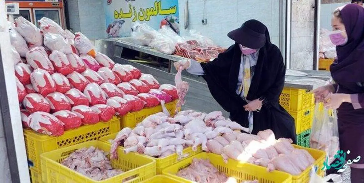 قیمت مرغ امروز یکشنبه 31 اردیبهشت 1402 + مرغ امروز کیلویی چند؟