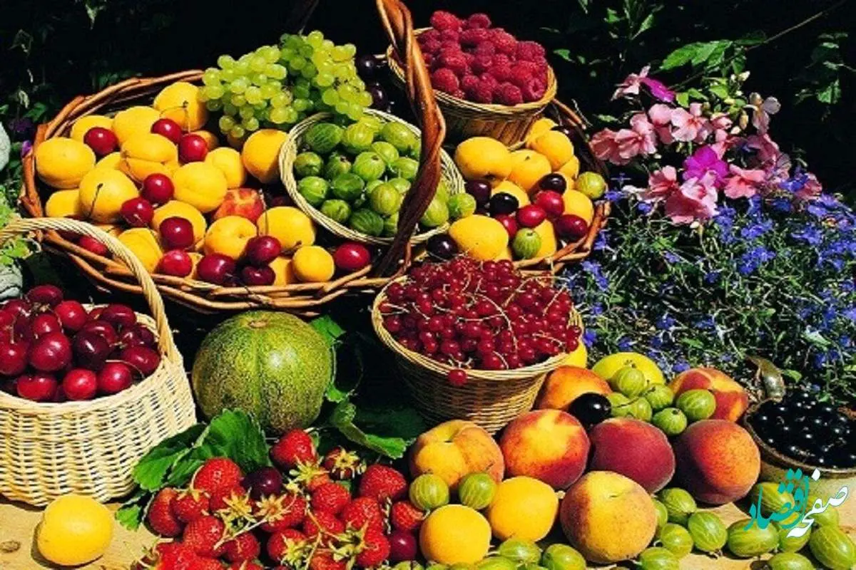 تقاضا برای خرید میوه کم شد؟ | قیمت توت سفید، شاتوت، توت فرنگی، زردآلو، طالبی و ملون امروز یکشنبه