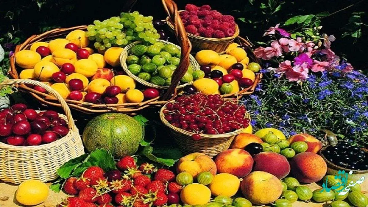 تقاضا برای خرید میوه کم شد؟ | قیمت توت سفید، شاتوت، توت فرنگی، زردآلو، طالبی و ملون امروز یکشنبه