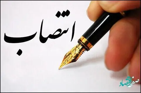 مهدی ضیغمی سرپرست سازمان توسعه تجارت شد