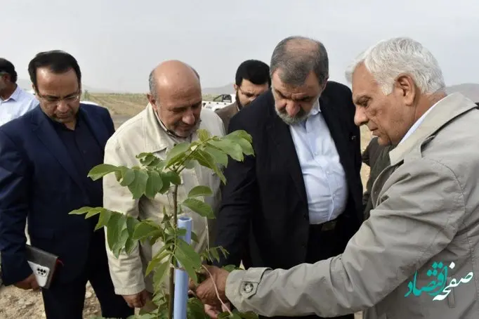 بازدید معاون اقتصادی رئیس جمهور از بزرگترین باغ گردو و پسته کشور