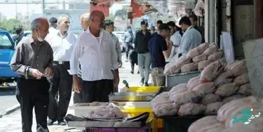 آیا وضعیت قیمت مرغ در میادین کمتر از قیمت مصوب است؟ 