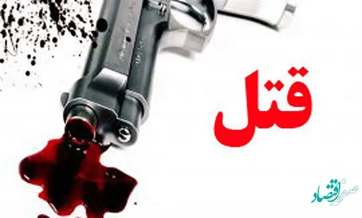 ماجرای قتل تکان‌دهنده دکتر رضا ضیایی و همسرش در تهران چه بود؟ 