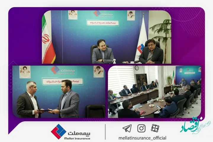 سرپرست مدیریت بیمههای باربری، کشتی و هواپیمای بیمه ملت معرفی شد