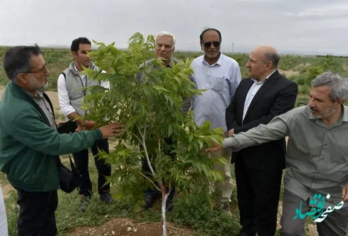 سرمایه گذاران خارجی کشورهای حوزه خلیج فارس از پروژه های بخش کشاورزی منطقه آزاد ماکو بازدید کردند
