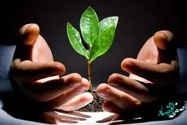امهال سودکارمزدی و جریمههای دیرکرد تسهیلات پرداختی به بخش کشاورزی در بانک سینا