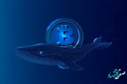 علت عقب نشینی و مهاجرت بزرگ‌ترین نهنگ‌های بیت‌کوین از مبادلات رمزنگاری چیست؟ 