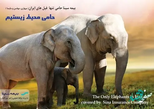 فیلهای ایران تحت پوشش بیمه سینا
