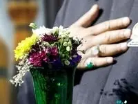 بیمه سینا خادم خدام حرم رضوی شد