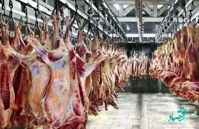 آخرین و جدیدترین قیمت گوشت گوسفندی امروز ۲۳ خرداد ۱۴۰۲ در بازار | شقه گوسفندی کیلویی چند؟