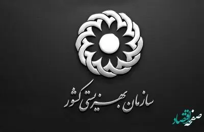 علت بازداشت این دو نفر از کارکنان بخش غیردولتی چه بود؟ 
