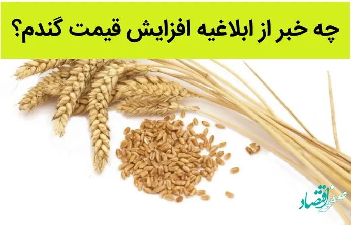 چه خبر از ابلاغیه افزایش قیمت گندم؟ | مهم ترین خبر برای گندمکاران