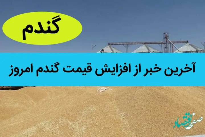یک خبر تازه از افزایش قیمت گندم امروز | چه خبر از قیمت 17 هزار تومانی گندم؟