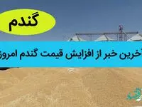 یک خبر تازه از افزایش قیمت گندم امروز | چه خبر از قیمت 17 هزار تومانی گندم؟