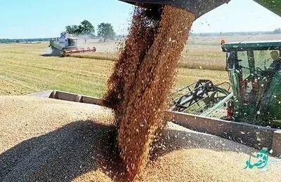 کشاورزان همچنان منتظر اصلاح قیمت خرید تضمینی گندم