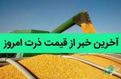 آخرین خبر از قیمت ذرت امروز 4 تیر 1402 | قیمت ذرت سقوط کرد | چه خبر از قیمت ذرت؟