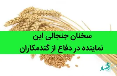 سخنان جنجالی این نماینده در دفاع از گندمکاران | کشاورزان ناراضیند | مطالبات گندمکاران را بدهید