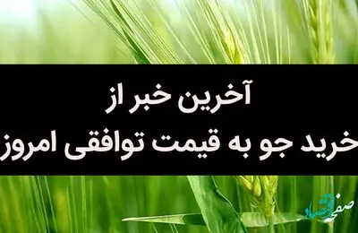 آخرین خبر از خرید جو به قیمت توافقی امروز 5 تیر 1402 | چه خبر از قیمت جو؟ | جو کیلویی چند؟ 