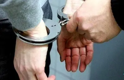 زن قاچاقچی به دام افتاد | به خاطر این مواد دستگیر شد