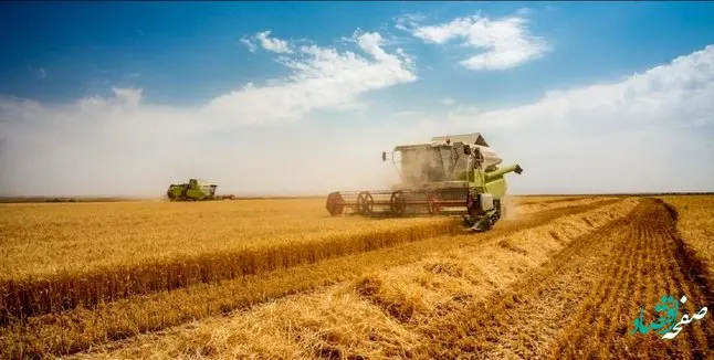 چه خبر از اصلاح قیمت خرید تضمینی گندم؟