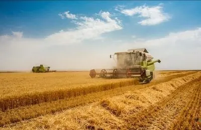 چه خبر از اصلاح قیمت خرید تضمینی گندم؟