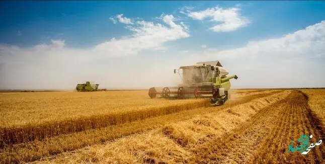 چه خبر از اصلاح قیمت خرید تضمینی گندم؟