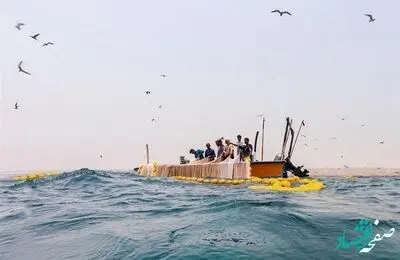 پرداخت مالیات بر ارزش افزوده برای انتقال آبزیان از قشم به سرزمین اصلی حذف شد