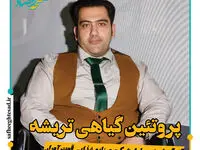 تریشه جایگزین مناسب گوشت قرمز است