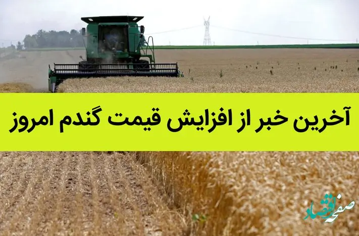 آخرین خبر از افزایش قیمت گندم امروز 2 تیر ماه 1402