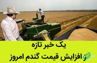 یک خبر تازه از افزایش قیمت گندم امروز 11 تیر 1402 / اصلاح قیمت گندم روز دوشنبه انجام می شود