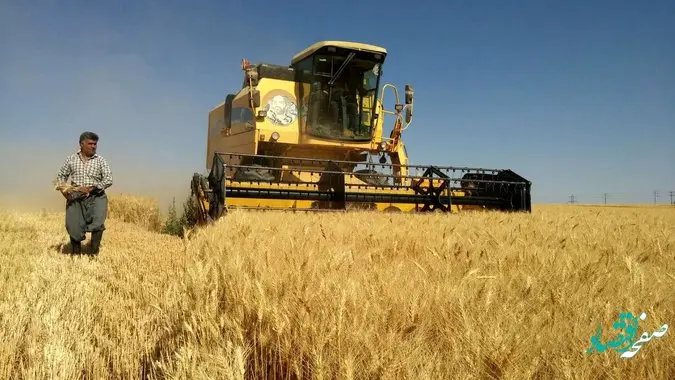همچنان پرداخت مطالبات گندمکاران خوزستانی در انتظار تصمیم وزارت جهاد / بالاخره فردا تکلیف قیمت گندم مشخص می شود