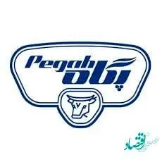 بازدید رئیس شورای شهر و شهردار خرم آباد از پگاه لرستان