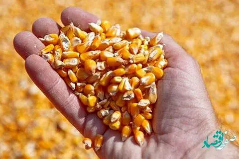 قیمت انواع نهاده های دامی و محصولات کشاورزی امروز شنبه ۱۷ تیر ۱۴۰۲