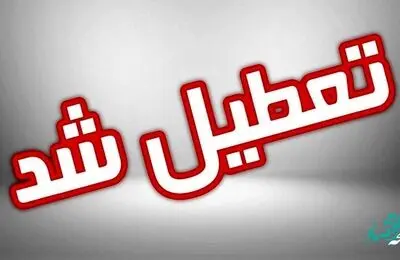 علت تعطیلی این پتروشیمی  و بیکار شدن ۱۵۰۰ نفر چیست؟ / در این پتروشیمی چه خبر است؟ 