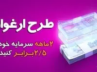 ارغوان، طرح حمایتی بانک سینا از مشتریان حقیقی وکسب‌وکارهای خرد
