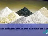 تجلی در مسیر سرمایه‌گذاری عناصر نادر خاکی و لیتیوم گام برمی‌دارد