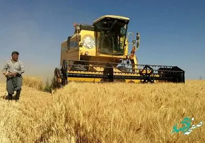 یک خبر تازه / کشاورزان ناراضی از قیمت گندم برای دولت خط و نشان کشیدند