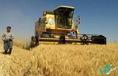 یک خبر تازه / کشاورزان ناراضی از قیمت گندم برای دولت خط و نشان کشیدند