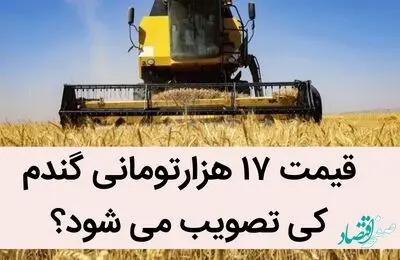 قیمت ۱۷ هزارتومانی گندم کی تصویب می شود؟ / همچنان وعده ی اصلاح قیمت گندم از این هفته به هفته دیگر موکول می
