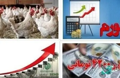 علت رسیدن قیمت مرغ به ۱۰۰ هزار تومان چیست؟