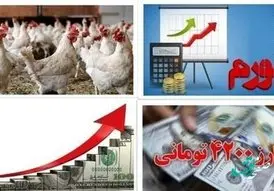 علت رسیدن قیمت مرغ به ۱۰۰ هزار تومان چیست؟