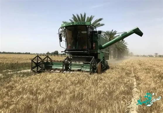 پرونده قیمت تضمینی خرید گندم همچنان سردرگم! 