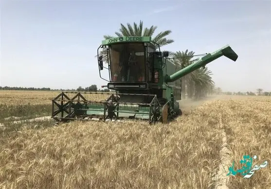 پرونده قیمت تضمینی خرید گندم همچنان سردرگم! 