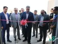 افتتاح یک واحد بزرگ تولید قارچ خوراکی با حمایت بانک توسعه تعاون