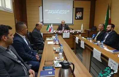 جلسه هم‌اندیشی آموزش و پرورش استان گلستان با شعبه گرگان بیمه دانا