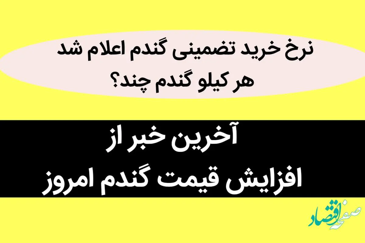 آخرین خبر از افزایش قیمت گندم امروز / نرخ خرید تضمینی گندم اعلام شد / هر کیلو گندم چند؟