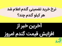 آخرین خبر از افزایش قیمت گندم امروز / نرخ خرید تضمینی گندم اعلام شد / هر کیلو گندم چند؟
