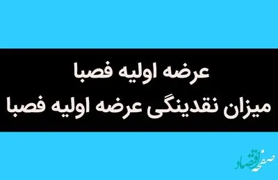 همه چیز درباره عرضه اولیه فصبا + میزان نقدینگی عرضه اولیه فصبا